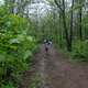 Several tribal communities and forest dwellers are dependent on forests for their livelihood.